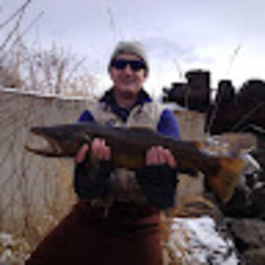 Meet your Posher, Dave